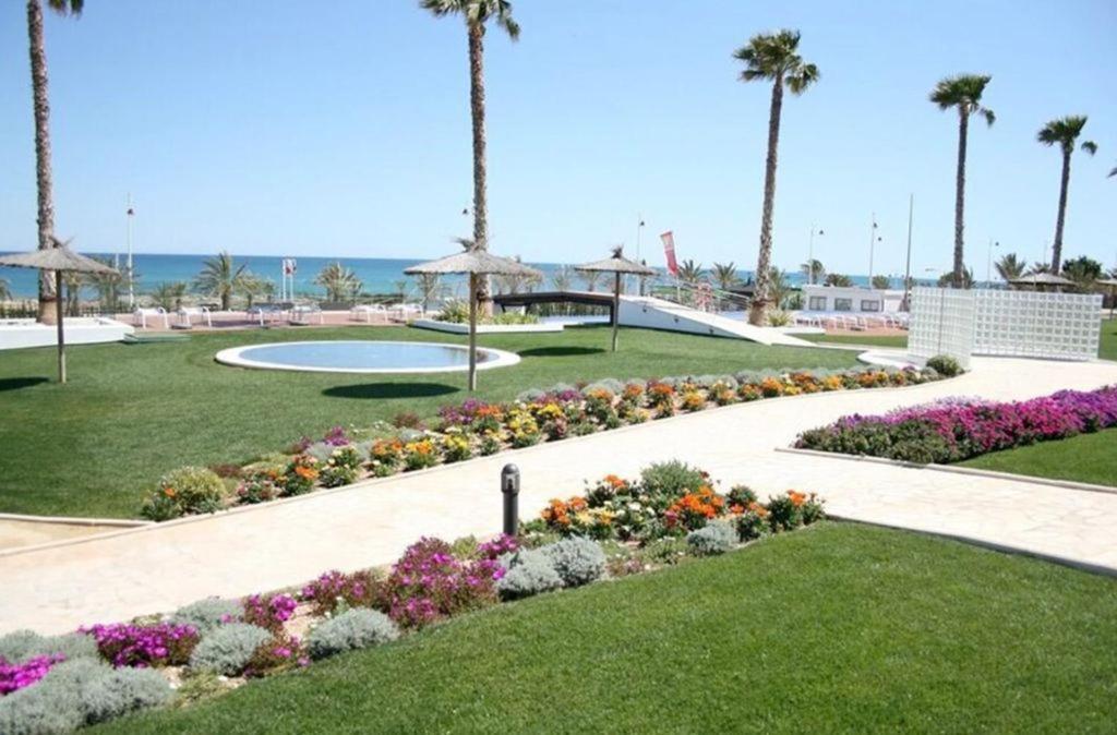 Ocean View * Arenales del Sol